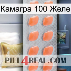 Камагра 100 Желе 26